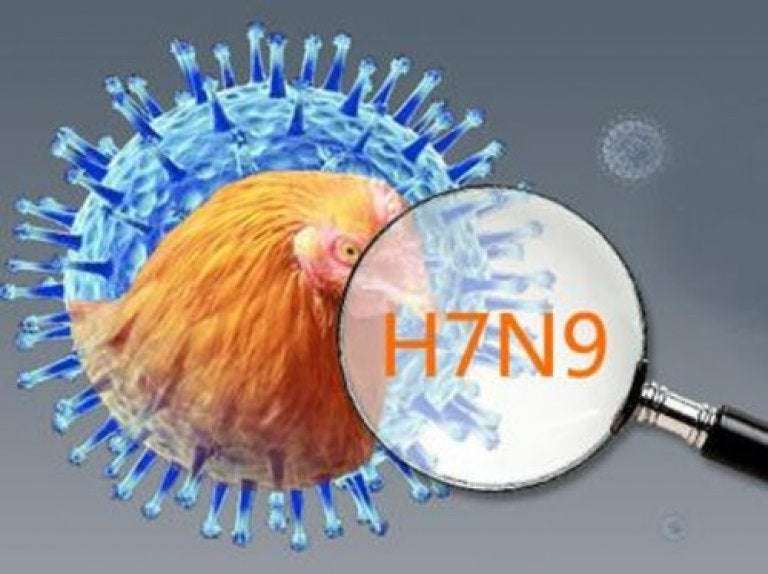 Σε συναγερμό ο Παγκόσμιος Οργανισμός Υγείας για τη γρίπη των πτηνών – Κατακόρυφη αύξηση των κρουσμάτων σε ανθρώπους